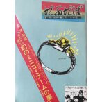 だぶだぼ 29号 まーるい地球の暮らし方 やり方と資料8