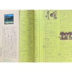 根本敬　村田藤吉寡黙日記 生きる SILENT DIALY OF TOHKICHI MURATA I LIVE