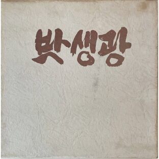 非公開: 朴生光画集　박생광