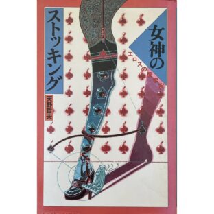 女神のストッキング エロスの反宇宙　天野哲夫 Tetsuo Amano