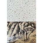 蕭白ショック!! 曾我蕭白と京の画家たち Shohaku shock!! : Soga Shohaku and the painters in Kyoto