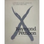 Raymond Pettibon Whatever it is you're looking for you won't find it here レイモンド・ペティボン画集