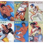 薔薇族  木村ベン Ben Kimura:表紙 伊藤文学　第二書房