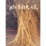 與那覇朝大画集