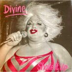 Shake It Up:Divine ディヴァイン 12inch vinyl