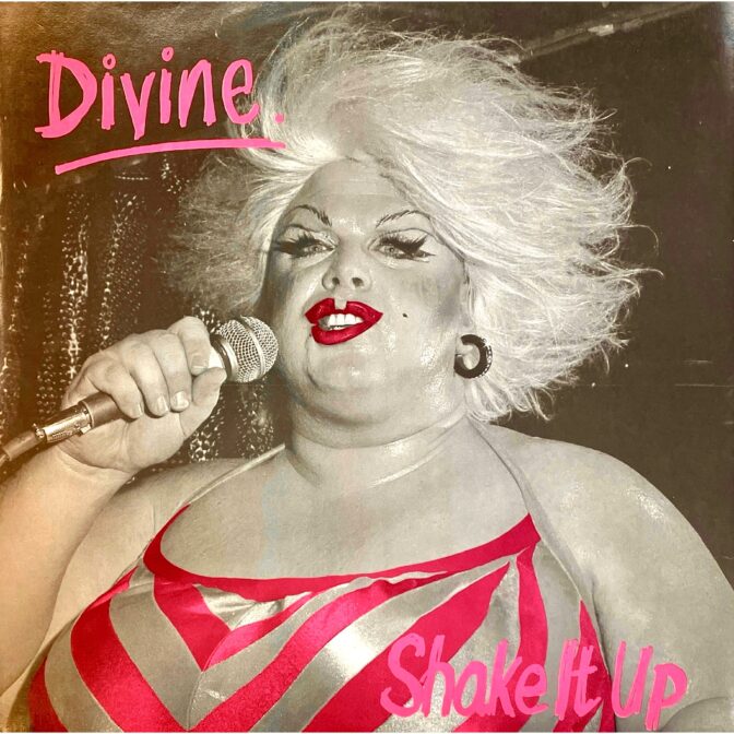 Shake It Up:Divine ディヴァイン 12inch vinyl
