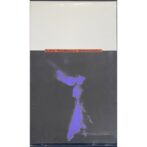 裸のラリーズ Les Rallizes Dénudés 【VHS】